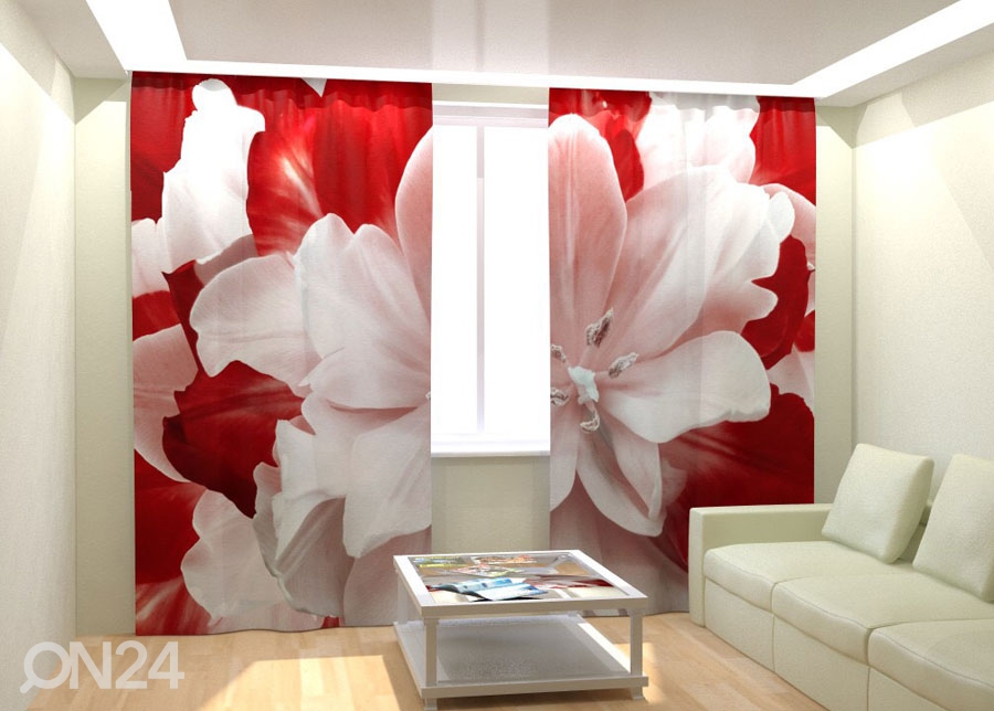 Fotokardinad Red White Tulip 300x260 cm suurendatud