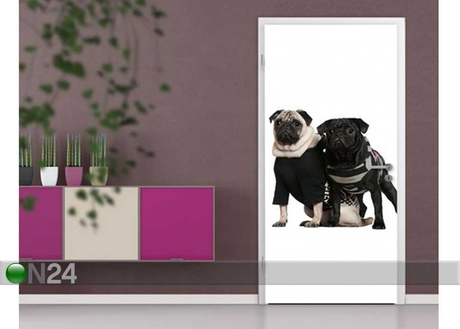 Fototapeet Posh Pug Dogs 100x210cm suurendatud