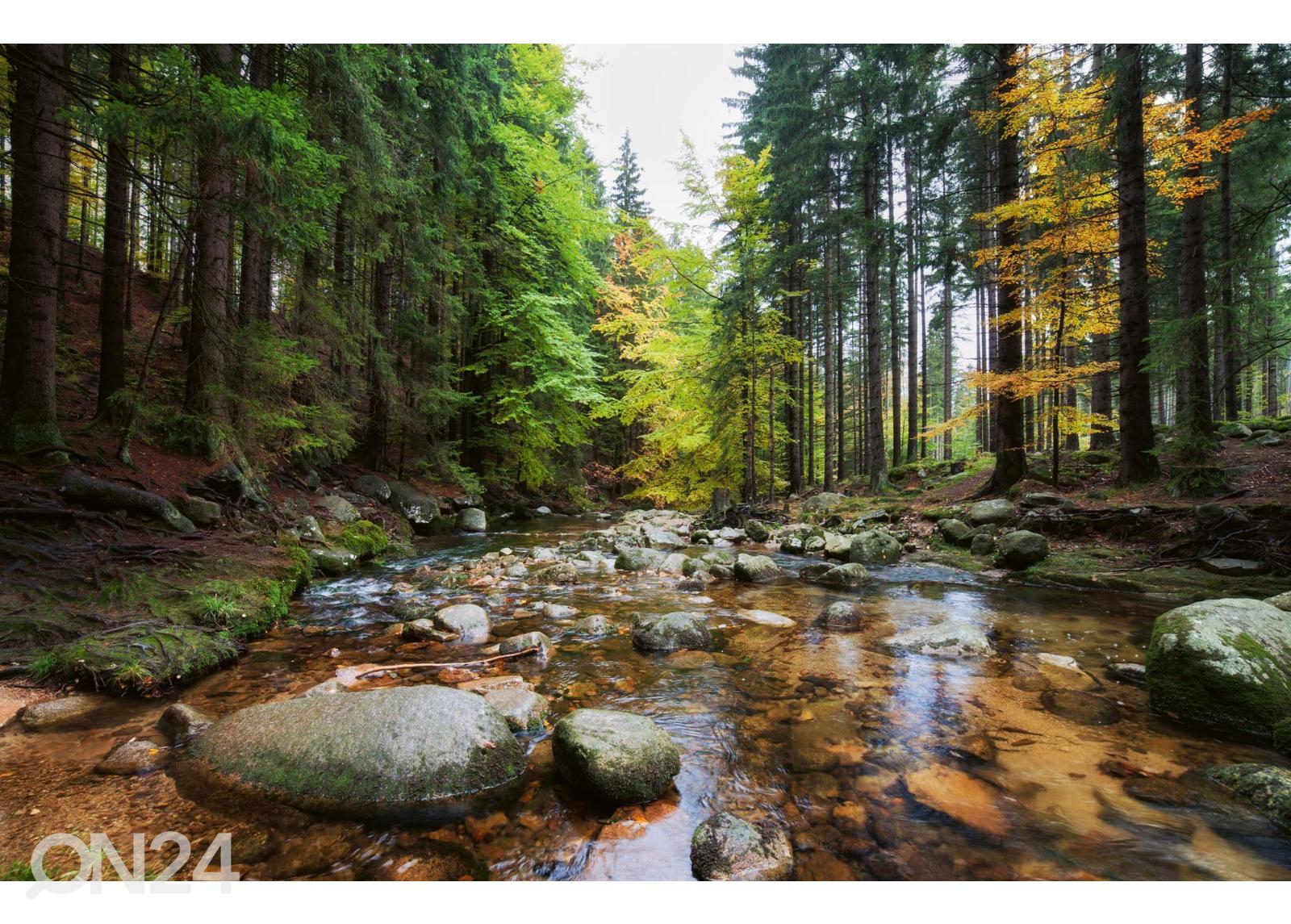 Isekleepuv fototapeet Forest Stream suurendatud