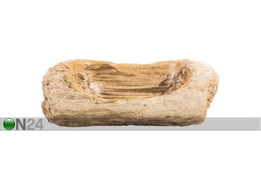 Kivistunud puidust valamu suurendatud
