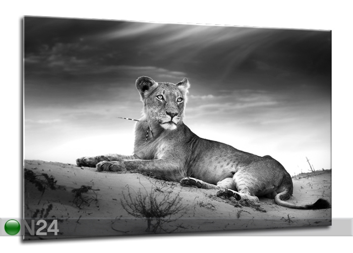 Klaaspilt Lion 70x100 cm suurendatud