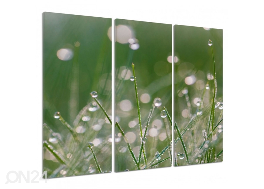 Kolmeosaline seinapilt Dew drops on the grass 3D 90x80 cm suurendatud