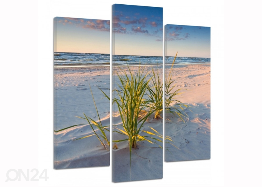 Kolmeosaline seinapilt Green grass on the beach 3D 90x80 cm suurendatud