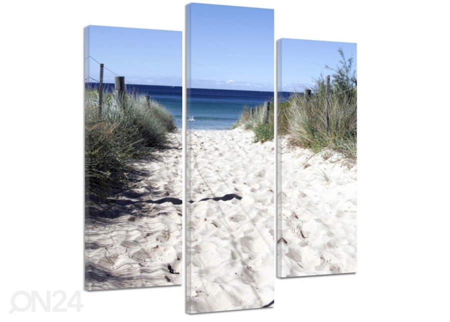 Kolmeosaline seinapilt The path to the beach dunes 3D 90x80 cm suurendatud