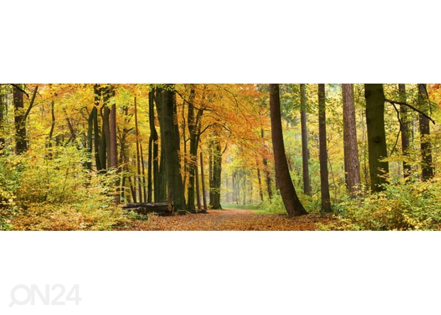 Köögi tagasein Autumn Forest 180x60 cm suurendatud