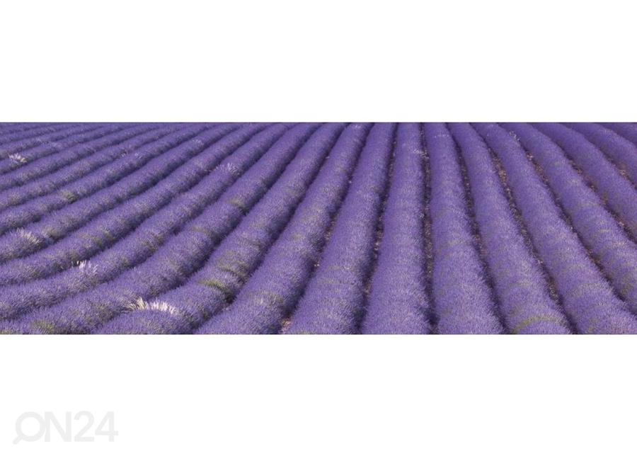 Köögi tagasein Lavender field 180x60 cm suurendatud
