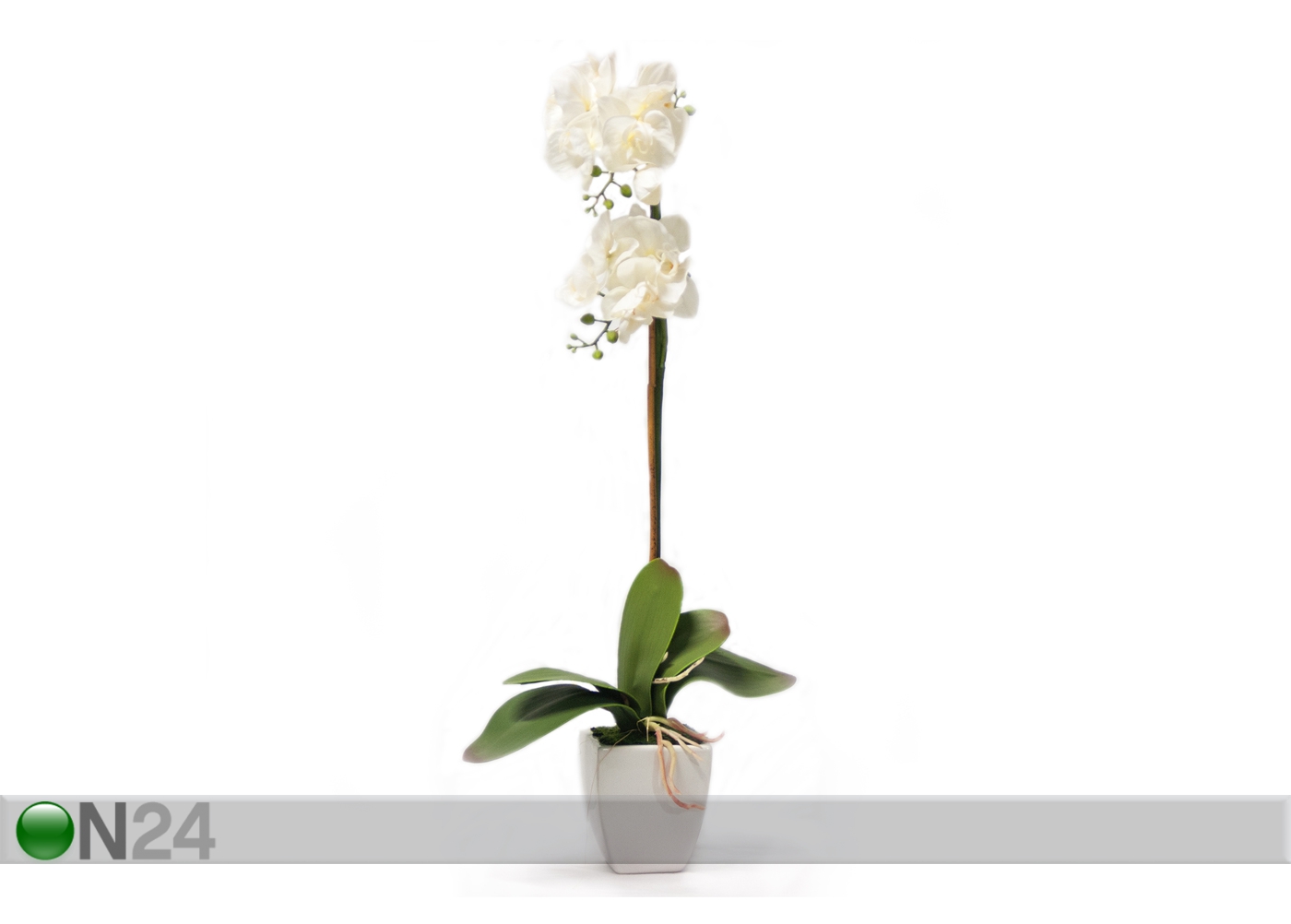 Kunstlill Valge orhidee 75 cm suurendatud