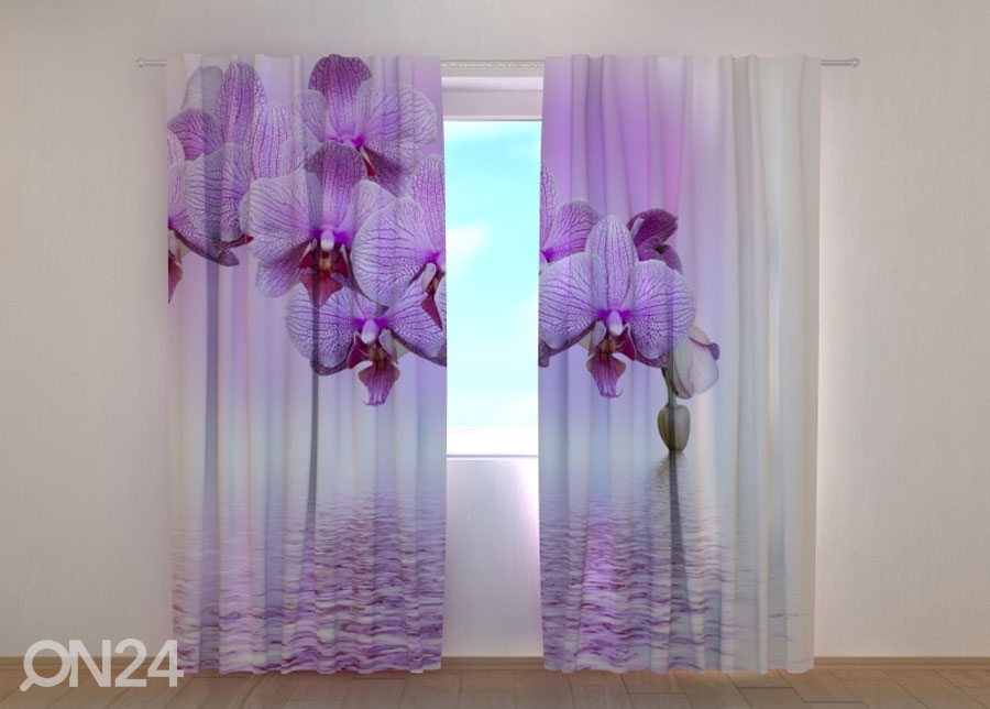 Läbipaistev kardin Lilac beauty 240x220 cm suurendatud