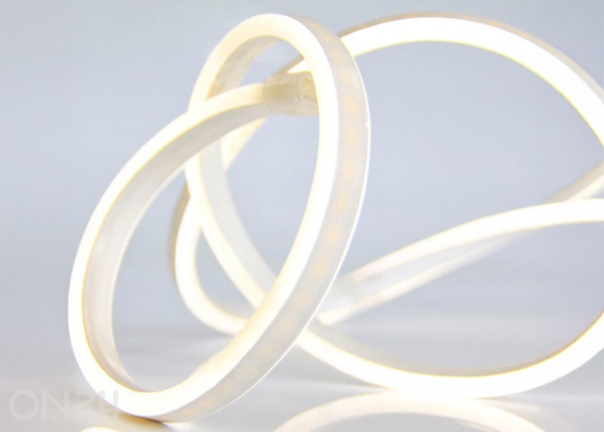 LED NEON riba 50 m RT-142825 - ON24 Home & Living