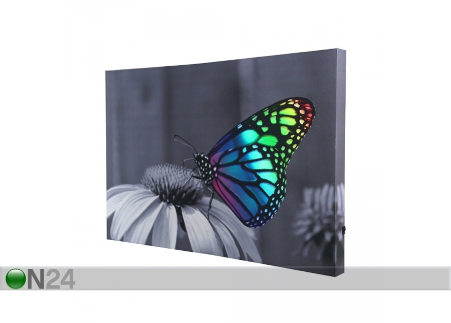 LED pilt Changing Butterfly 60x40 cm suurendatud