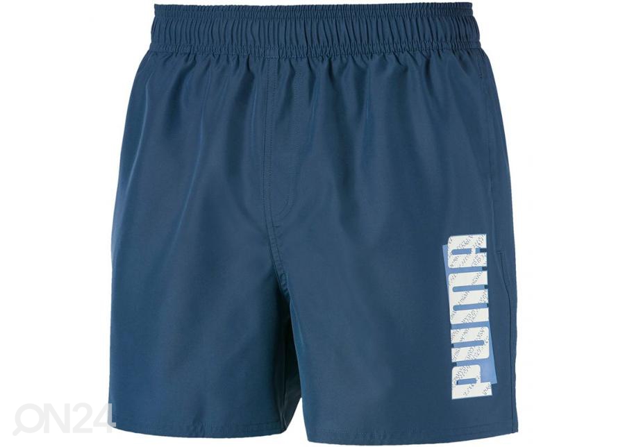 Meeste vabaaja lühikesed püksid Puma ESS Summer Shorts M 843727 43 suurendatud