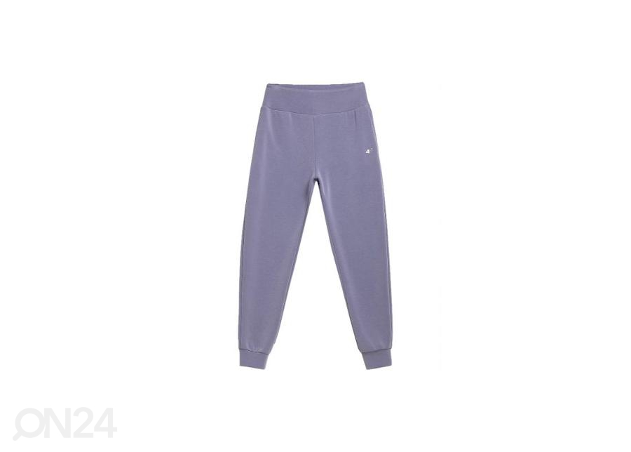 Naiste dressipüksid 4F Women's Sweatpants H4L21-SPDD011 32S suurendatud