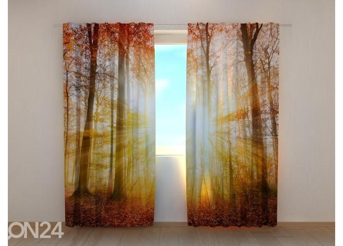 Pimendav fotokardin Beautiful Autumn Sunlight in a Forest 240x220 cm suurendatud