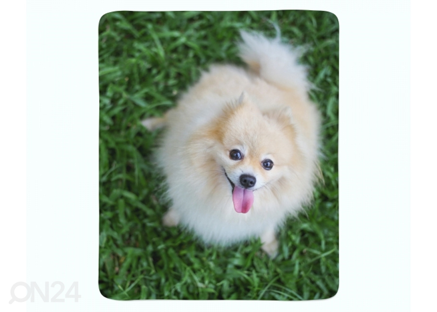 Pleed Happy Pomeranian Dog 130x150 cm suurendatud