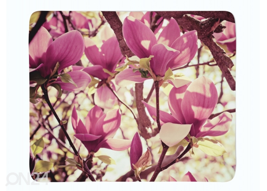 Pleed Pink Magnolias 130x150 cm suurendatud