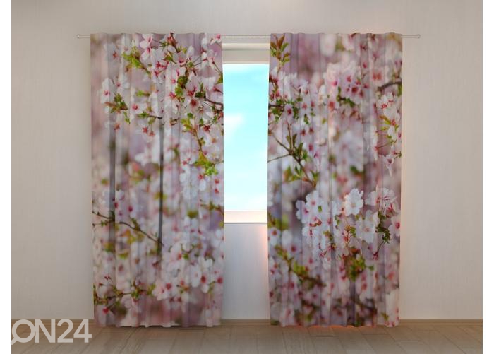 Poolpimendav fotokardin Cherry Tree Blossoms in Spring 240x220 cm suurendatud