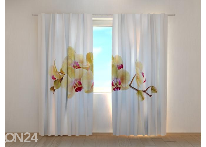 Poolpimendav fotokardin Golden Orchid on White 240x220 cm suurendatud