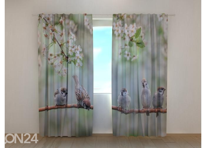 Poolpimendav fotokardin Small Birds on a Blooming Tree 240x220 cm suurendatud