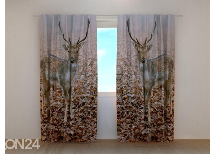 Poolpimendav fotokardin Young Deer in Autumn Forest 240x220 cm suurendatud