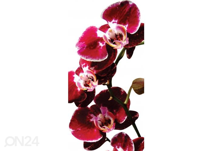 Põrandakleebis Orchidee 85x170 cm suurendatud