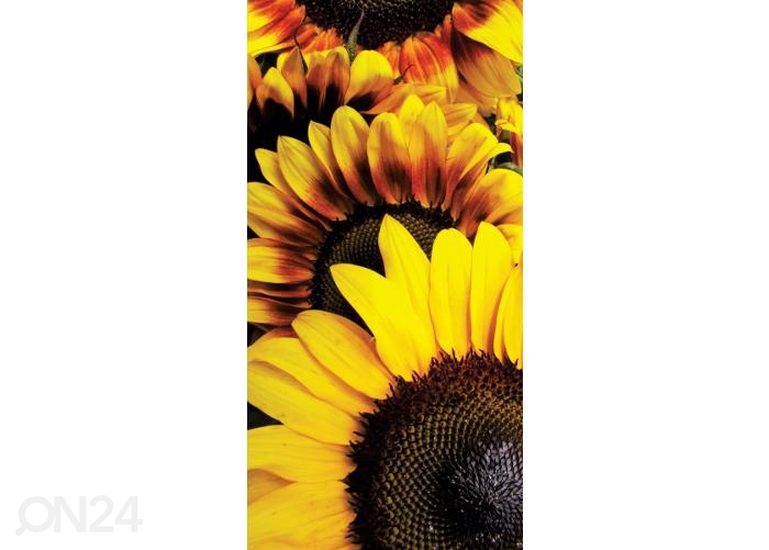 Põrandakleebis Sunflowers 85x170 cm suurendatud