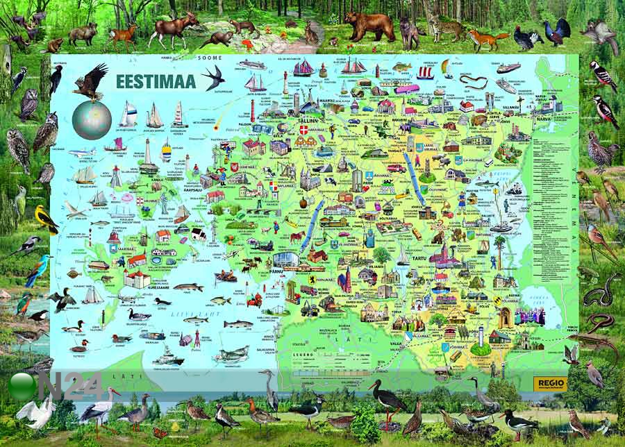 Regio Eestimaa piltkaart 1:360 000 suurendatud