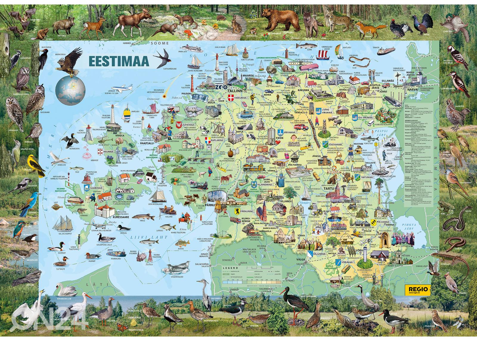 Regio Eestimaa piltkaart suurendatud