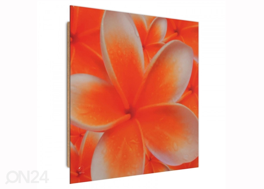 Seinapilt Frangipani flower 1 3D 30x30 cm suurendatud