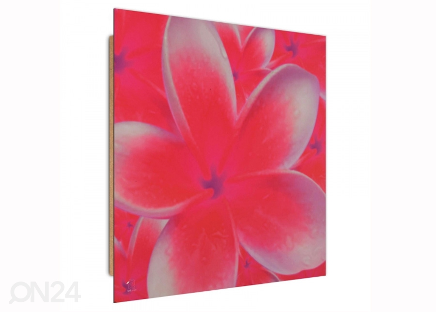 Seinapilt Frangipani flower 2 3D 30x30 cm suurendatud
