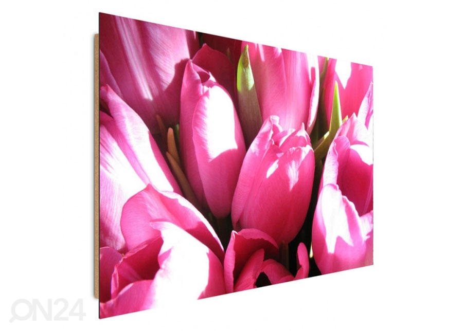 Seinapilt Pink tulips 70x100 cm suurendatud