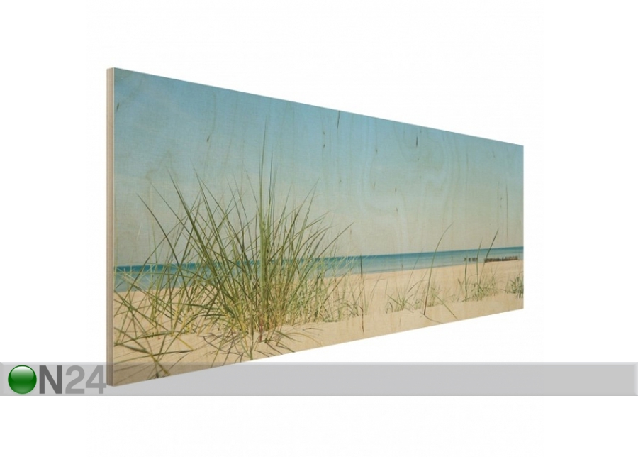 Seinapilt puidul Baltic Coast 40x100 cm suurendatud