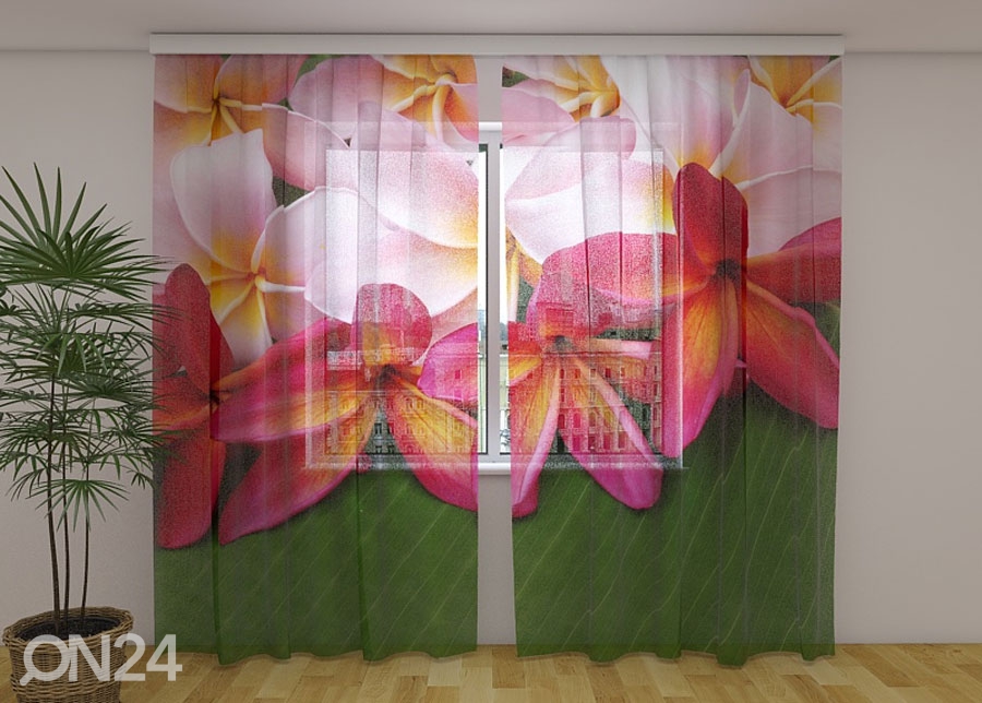 Šifoon-fotokardin Tropical Flowers 3, 240x220 cm suurendatud