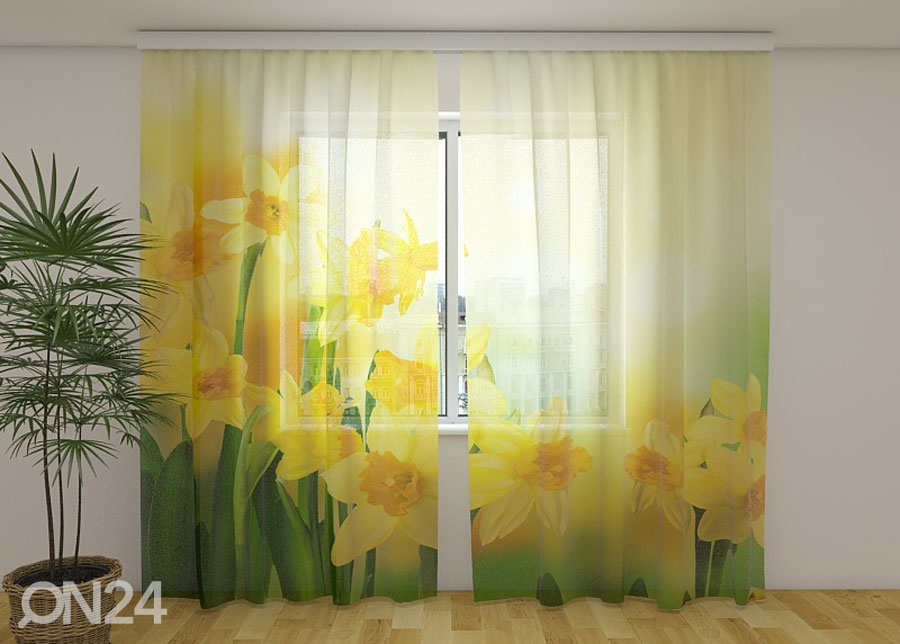 Šifoon-fotokardin Yellow daffodils 2, 240x220 cm suurendatud