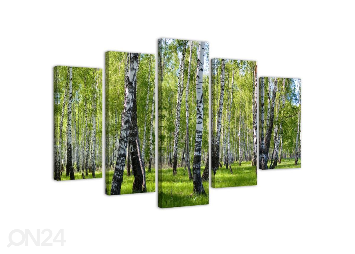 Viieosaline seinapilt Birch trees 100x70 cm suurendatud