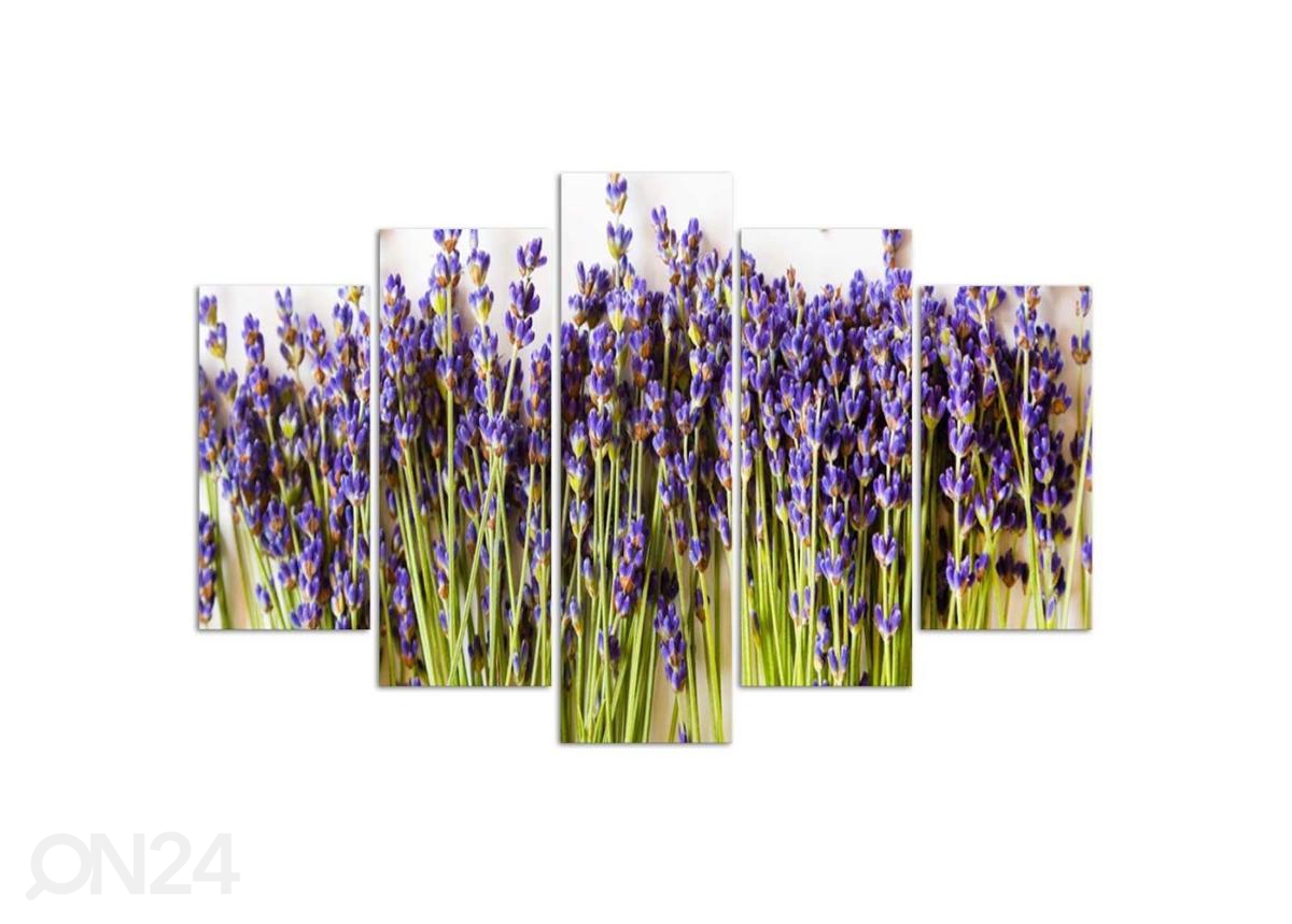 Viieosaline seinapilt Lavender 150x100 cm suurendatud
