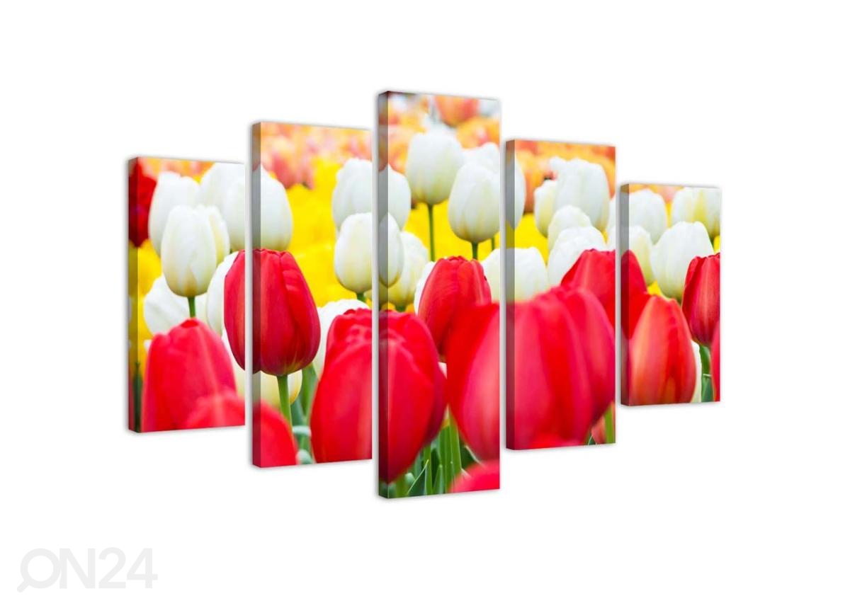 Viieosaline seinapilt White and Red Tulips 100x70 cm suurendatud