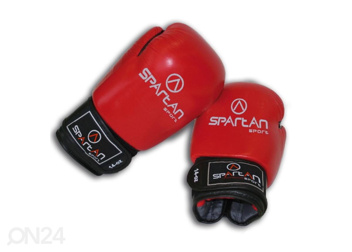 Боксерские перчатки Spartan S 10 oz увеличить