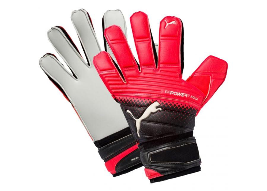 Вратарские перчатки для мужчин Puma Evo Power Grip 2.3 Aqua M 041225 20 увеличить