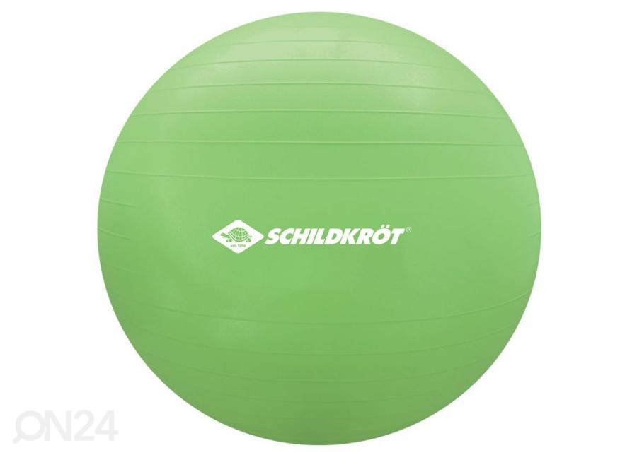 Гимнастический мяч Schildkroft 65 см увеличить
