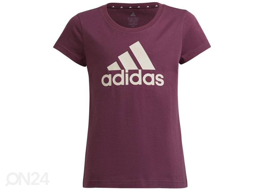 Детская повседневная рубашка Adidas Essentials Tee Jr GS0258 увеличить