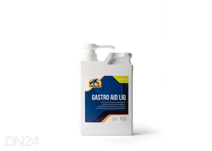 Дополнительный корм для лошадей Gastro Aid liq 2 кг увеличить