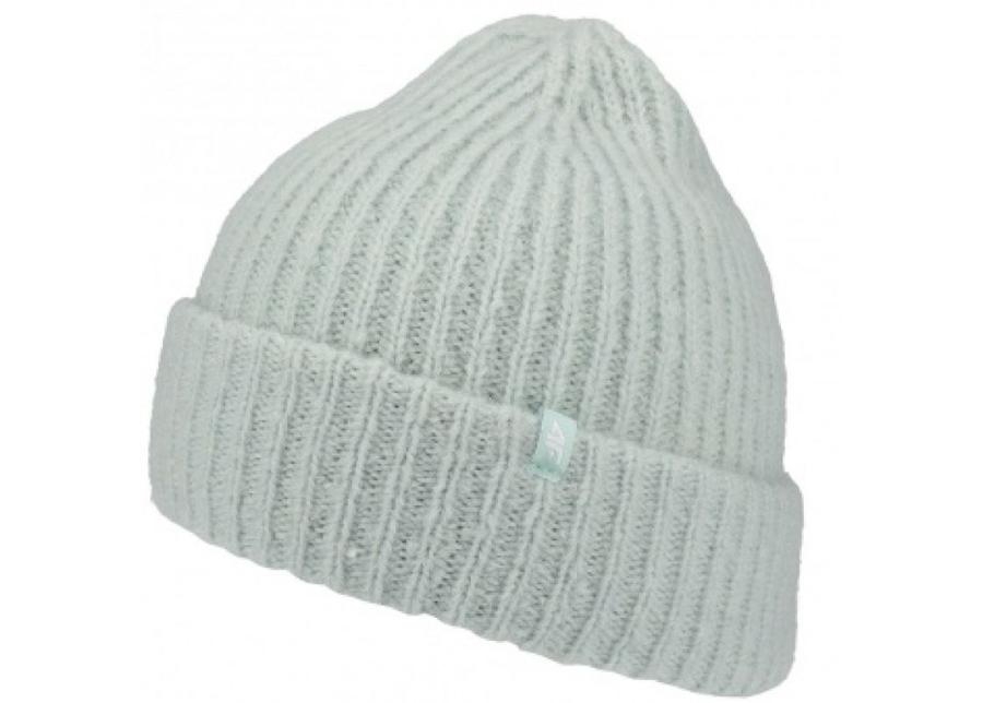 Женская зимняя шапка 4F W H4Z19-CAD070 42S увеличить