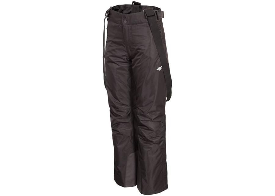 Женские лыжные штаны 4F W H4Z19-SPDN001 20S увеличить