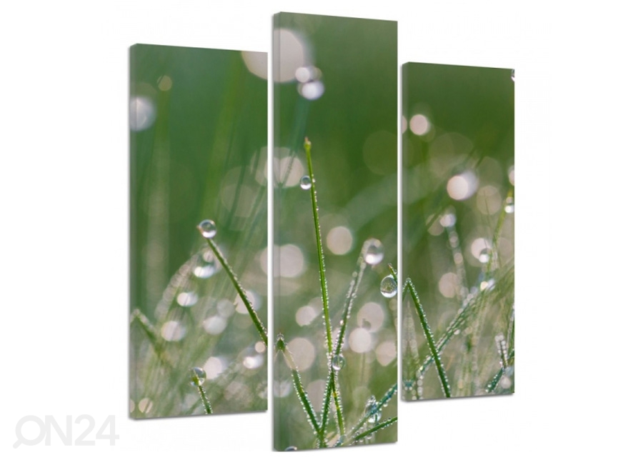 Картина из 3-частей Dew drops on the grass 3D 90x80 см увеличить