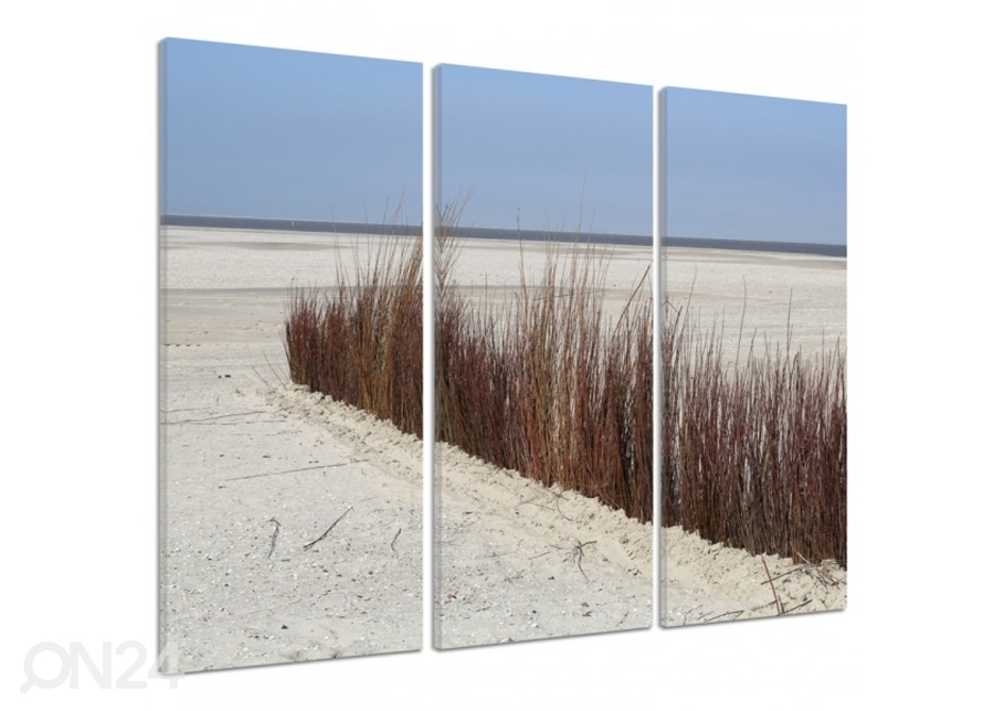 Картина из 3-частей Grass on the beach 3D 90x80 см увеличить
