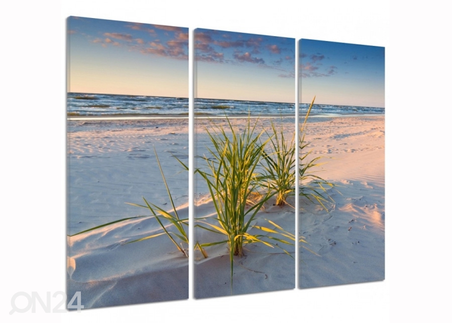 Картина из 3-частей Green grass on the beach 3D 90x80 см увеличить