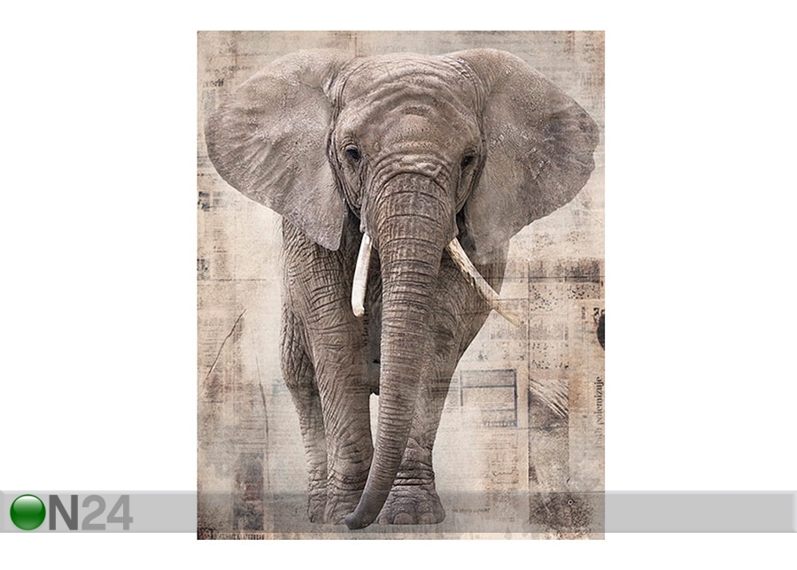 Картина Слон, 40x50 cm увеличить