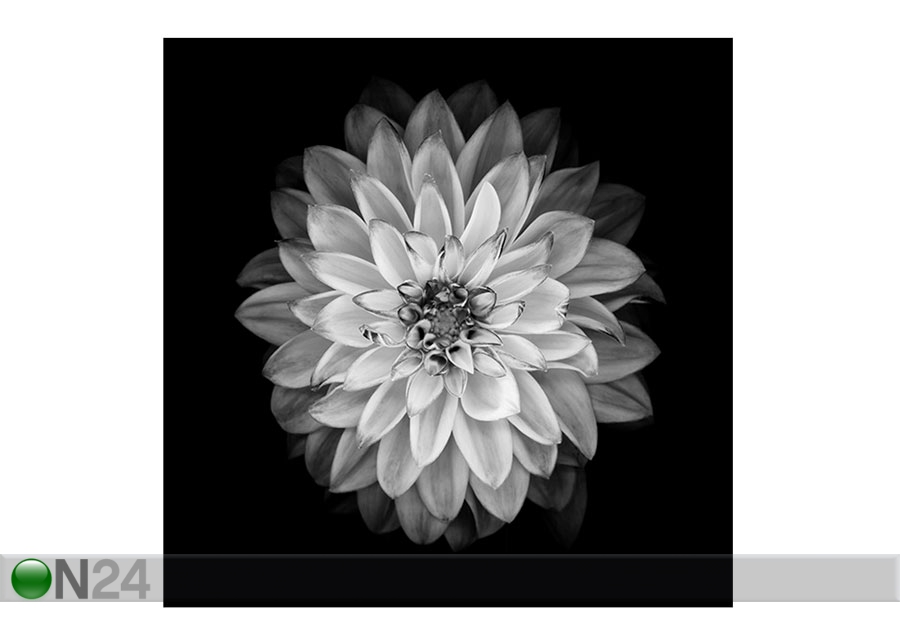 Картина Черно-белый цветок 1, 40x40 cm увеличить