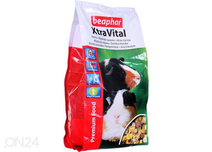 Комплексный корм Beaphar Extra Vital Guinea Pig полнорационный рацион для морских свинок 1 кг увеличить