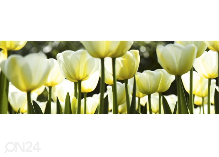 Кухонный ковер White tulips 180x60 см увеличить